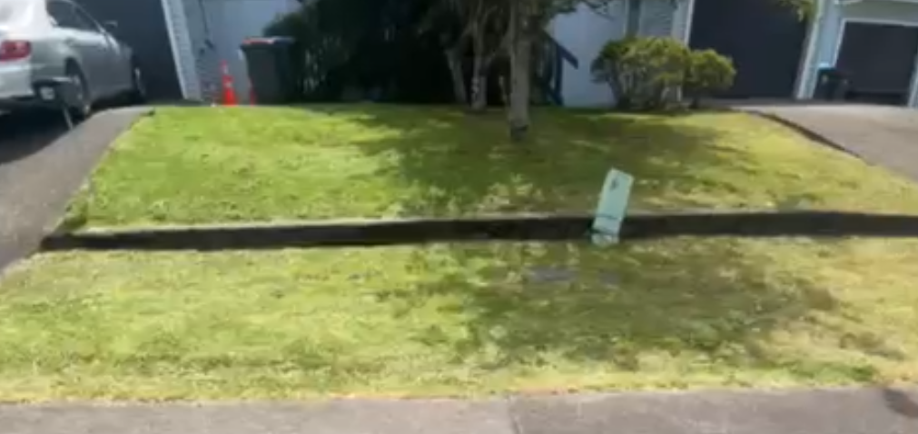 LAWN MOWING SERVICES 🌿