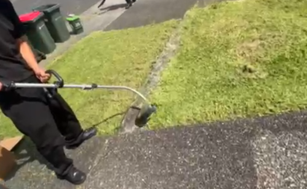 LAWN MOWING SERVICES 🌿