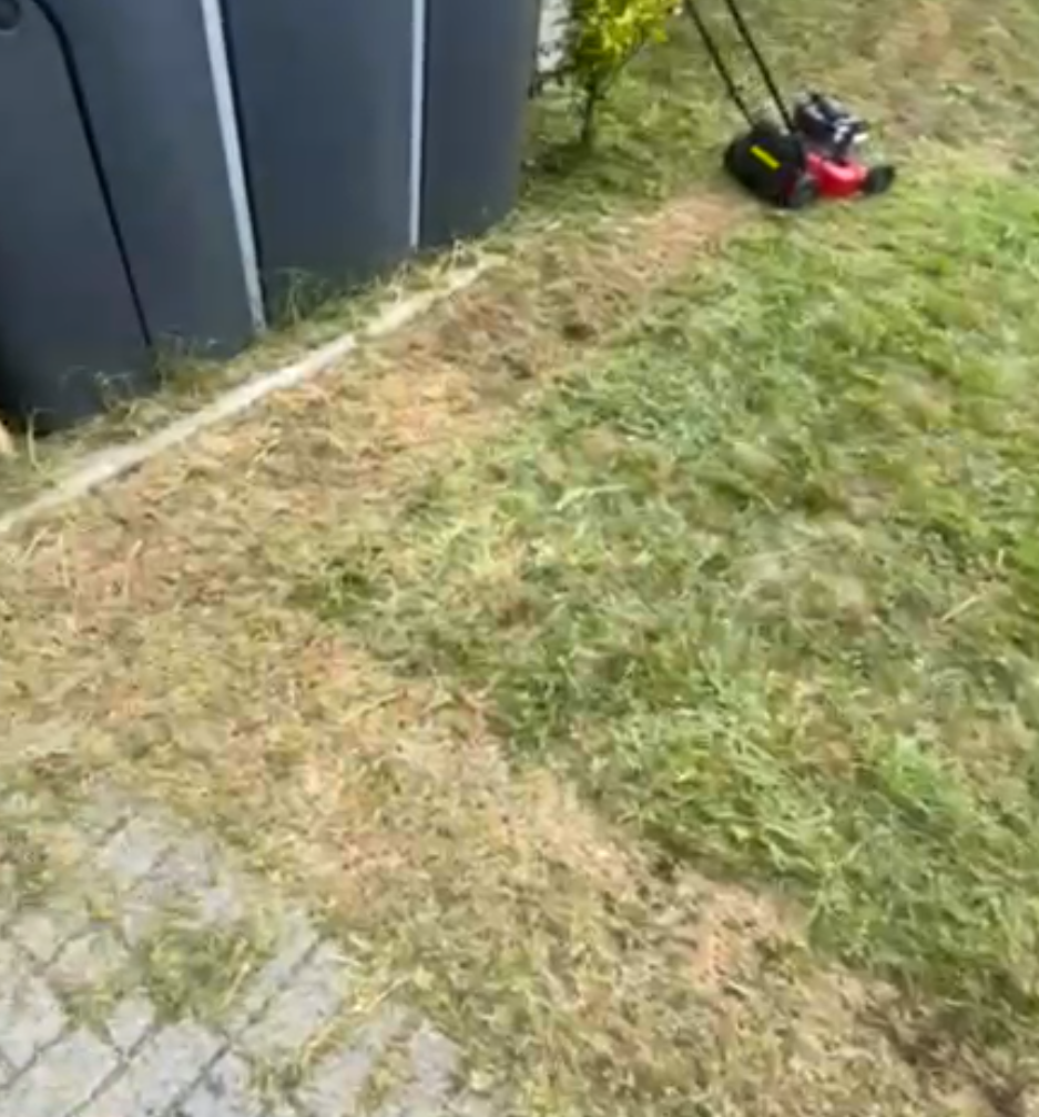 LAWN MOWING SERVICES 🌿