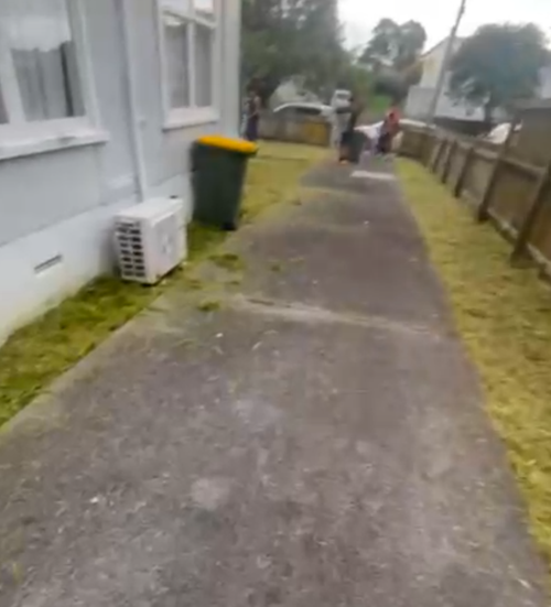 LAWN MOWING SERVICES 🌿