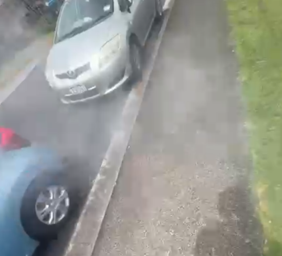 LAWN MOWING SERVICES 🌿